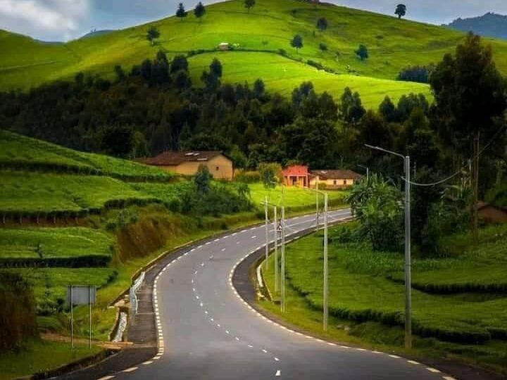 pristine, winding asphalt road through the lush green tea plantations and rolling hills of Rwanda, showcasing the country's "Land of a Thousand Hills" scenery by excellent african safaris.