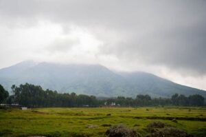 Gallery Thumbnail 2