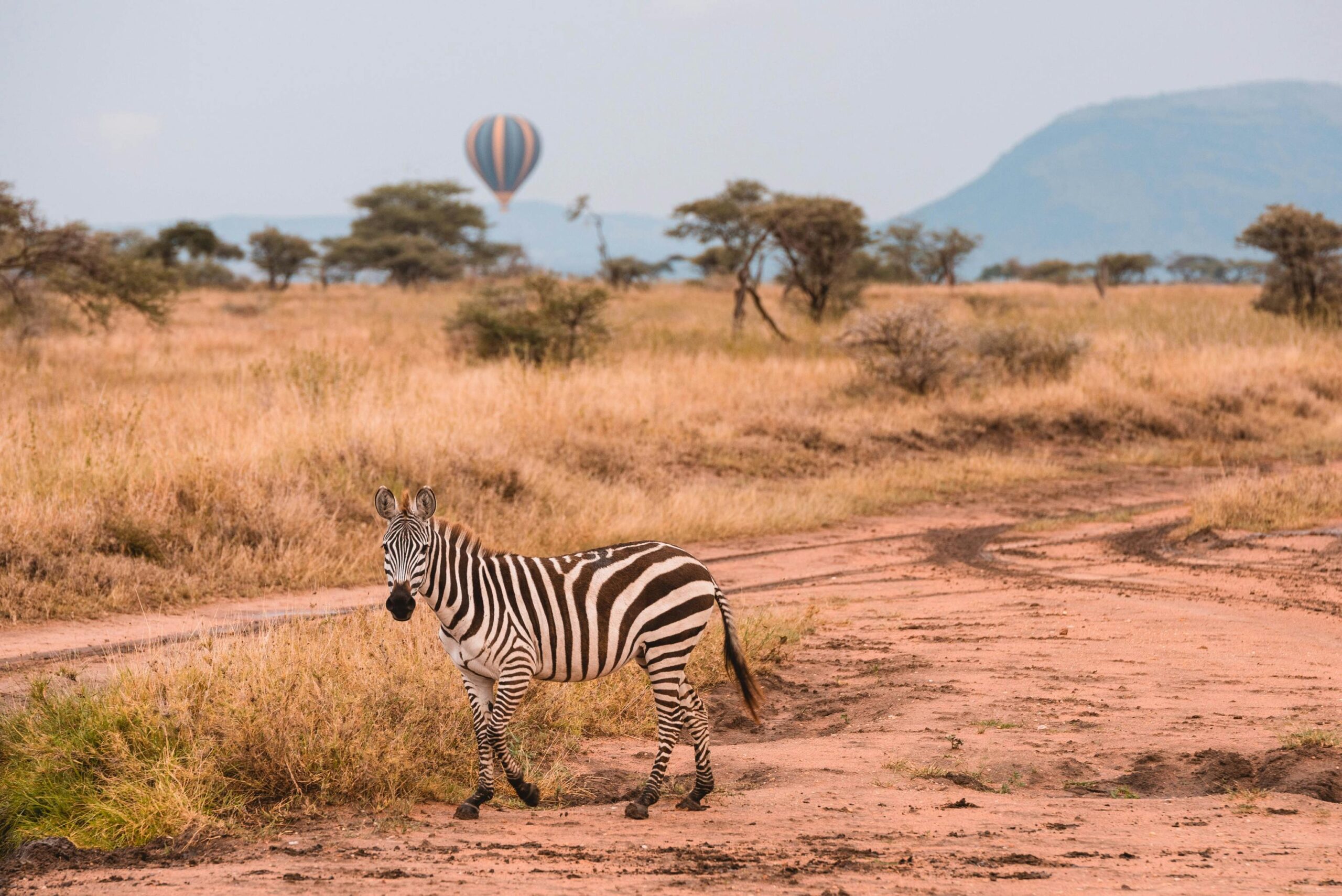 Tarangire National Park